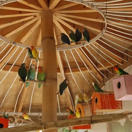 호텔 Habitacion Olivier En Casa Privada *